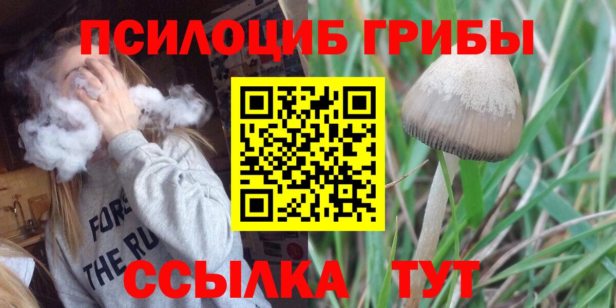 Алушта  Галлюциногенные грибы мицелий  Вход с VPN 